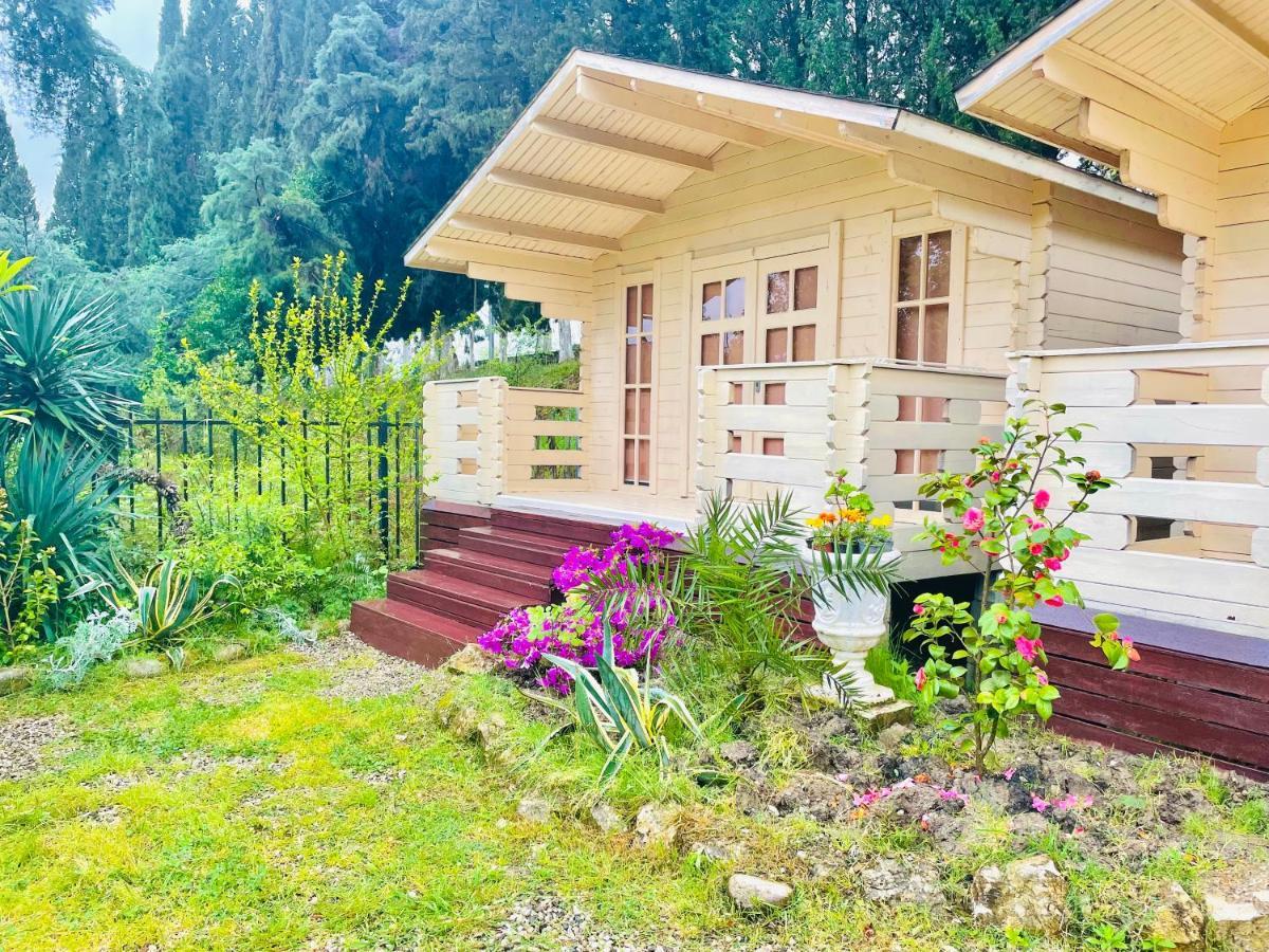 Vacation Home Apsar New Athos Extérieur photo