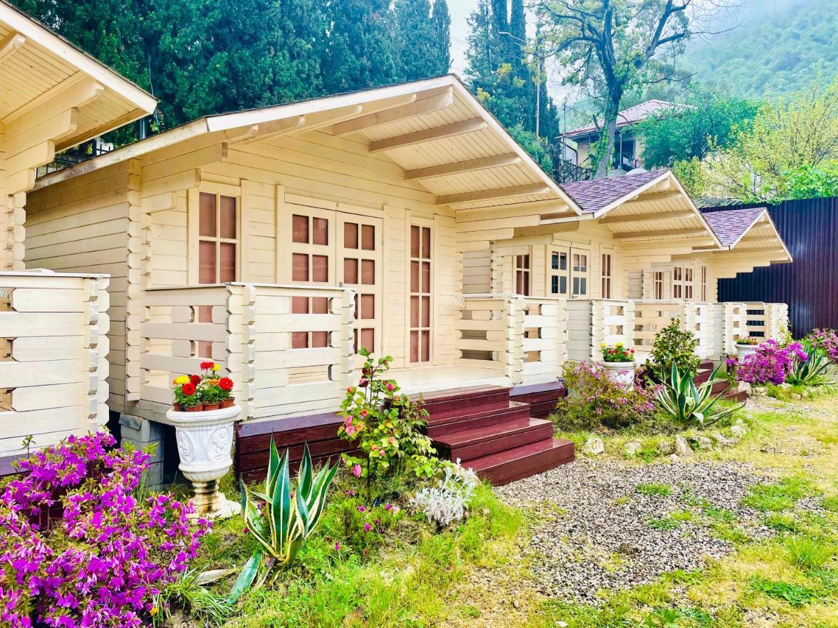 Vacation Home Apsar New Athos Extérieur photo
